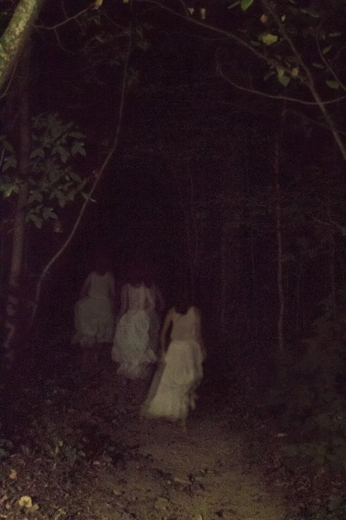 Accidentally Capturing Spirits: The Mysteries of Paranormal Photography