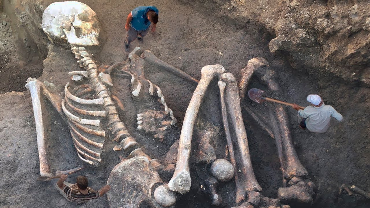 The Discovery of Fossilized Giant Bones