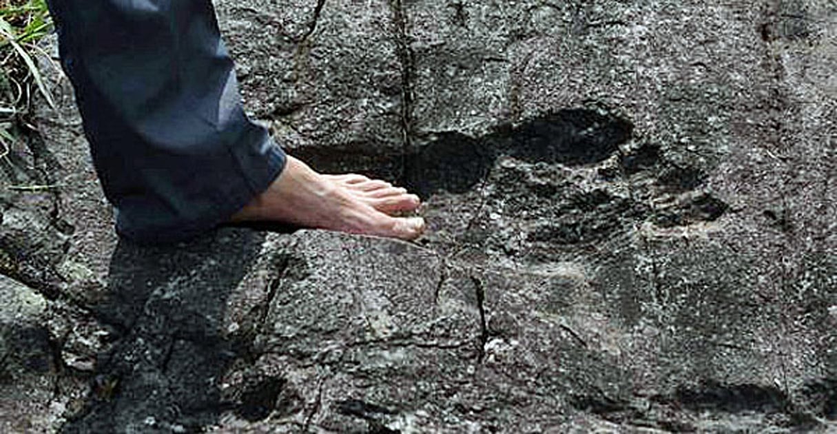 The Giant Footprints of South Africa