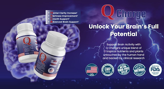Q Charge Review Support Brain Health, Should You Buy?