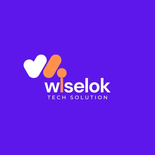 Best Website Development Company in Jaipur - Wiselok Tech Solution